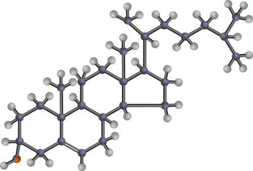 Cholesterol Molecule