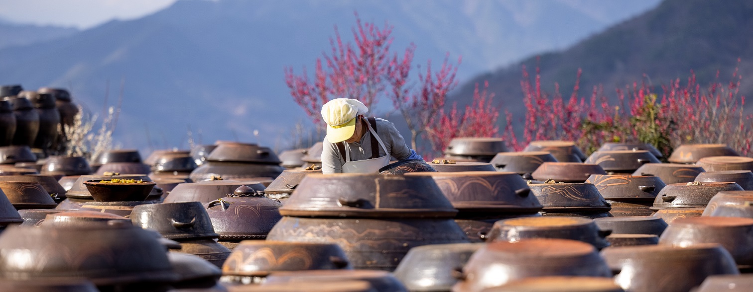 Fermentation Pots - Korea - How to Ferment Vegetables Blog