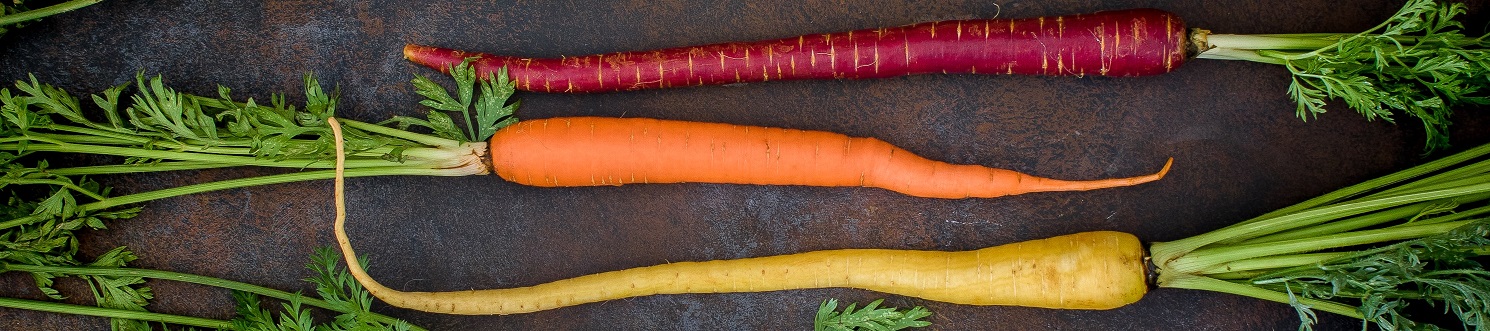 Fermented Vegetables Blog - Raw Carrots