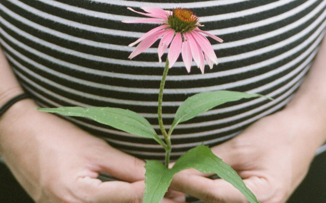 A woman holds a pink flower to her belly - pregnancy preparations