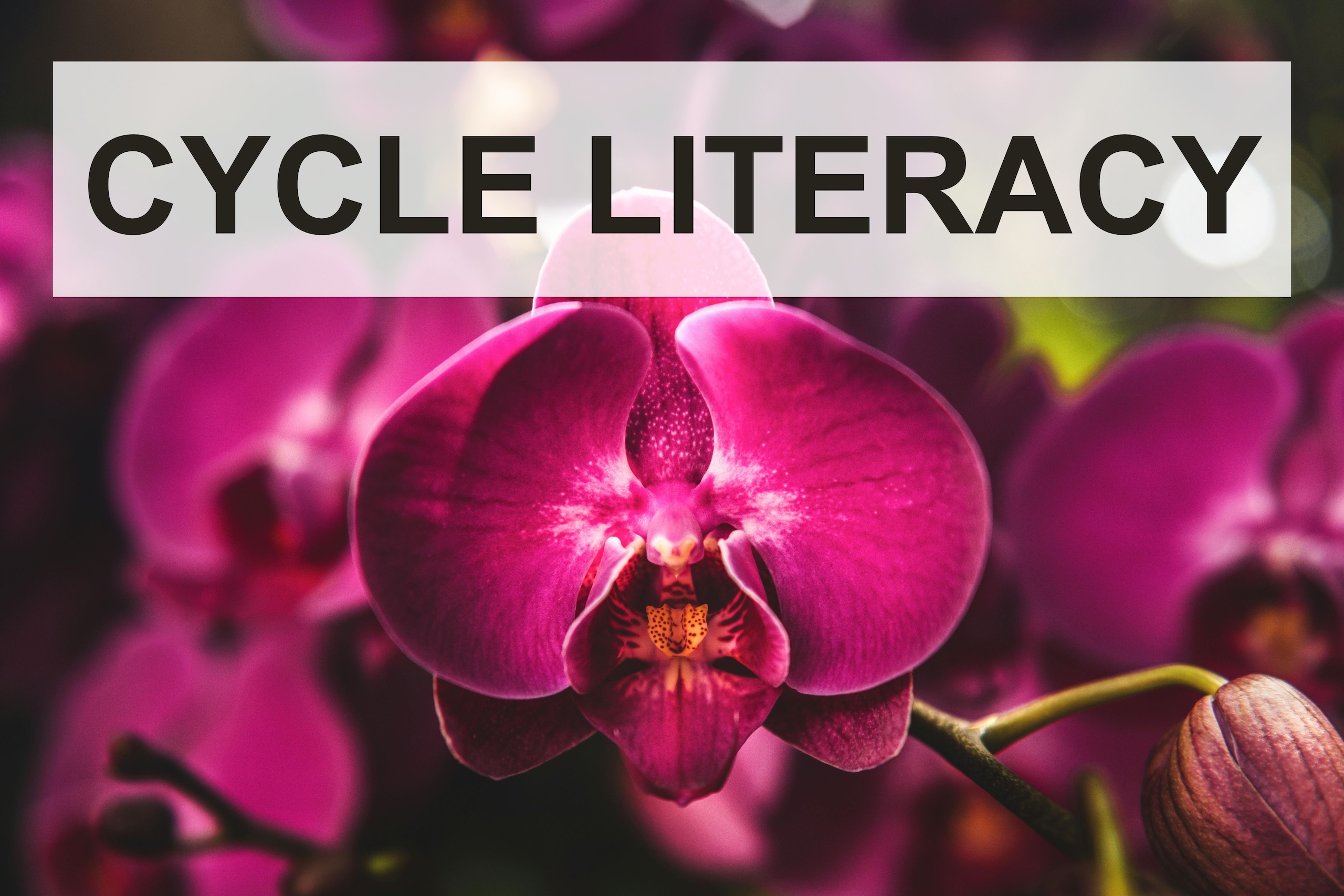 Cycle Literacy