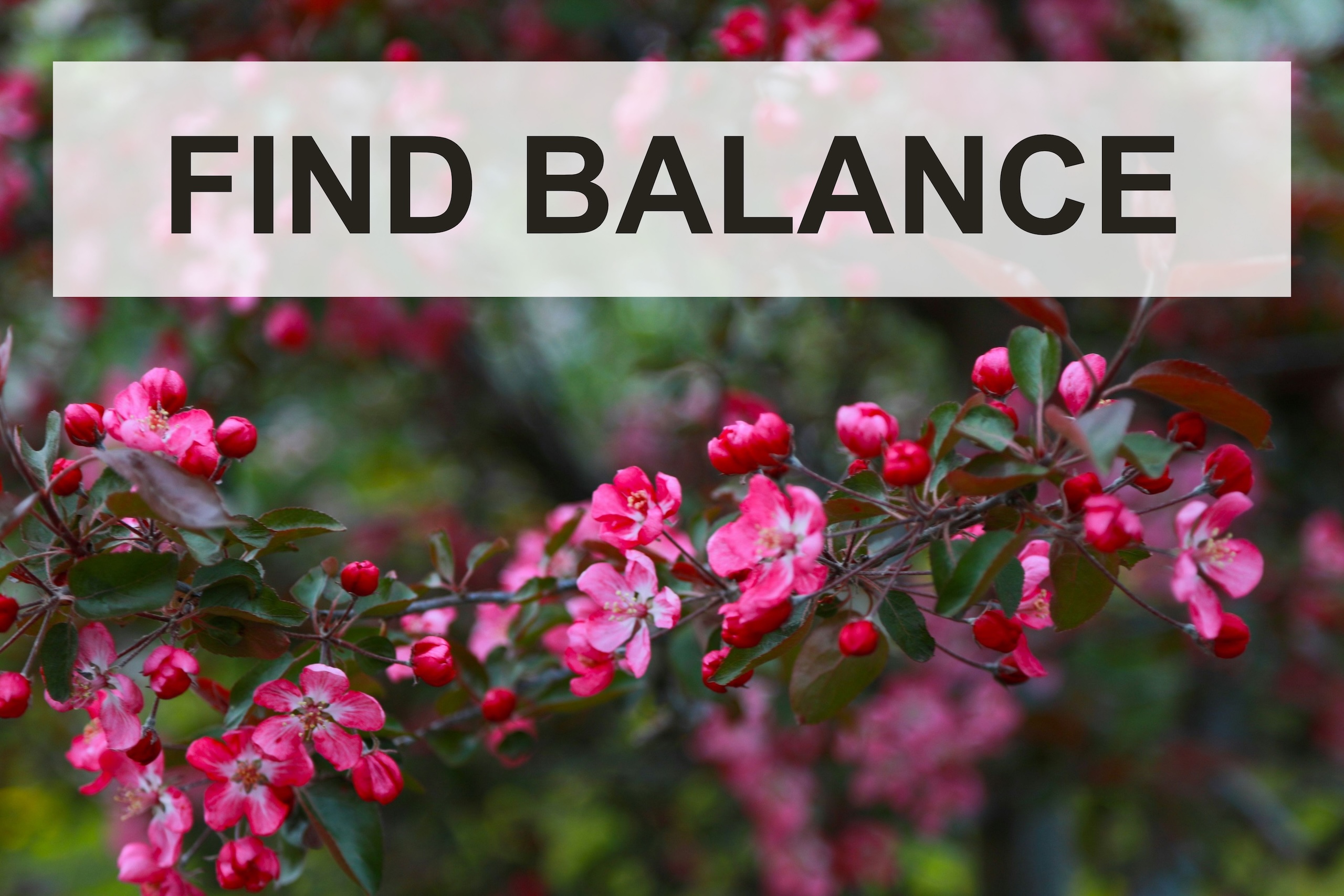 Find Balance 2
