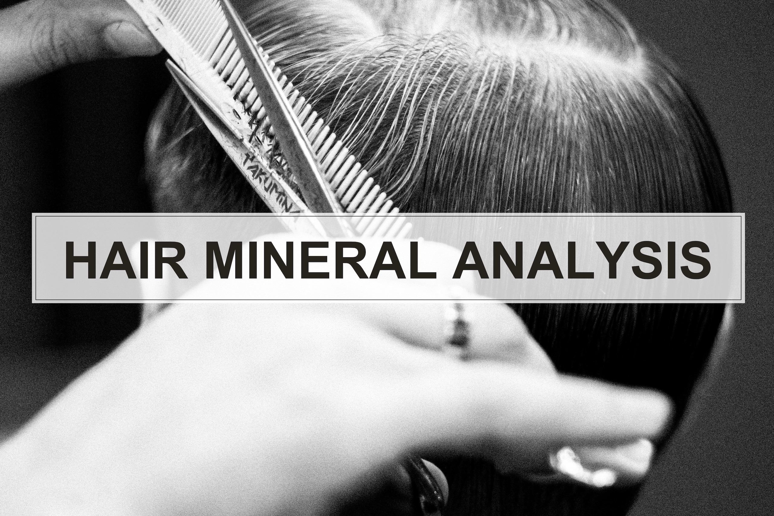 Hair Mineral Analysis