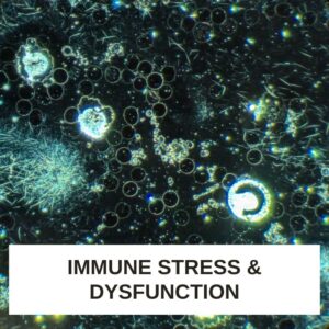 Immune Stress and Dysfunction LBA