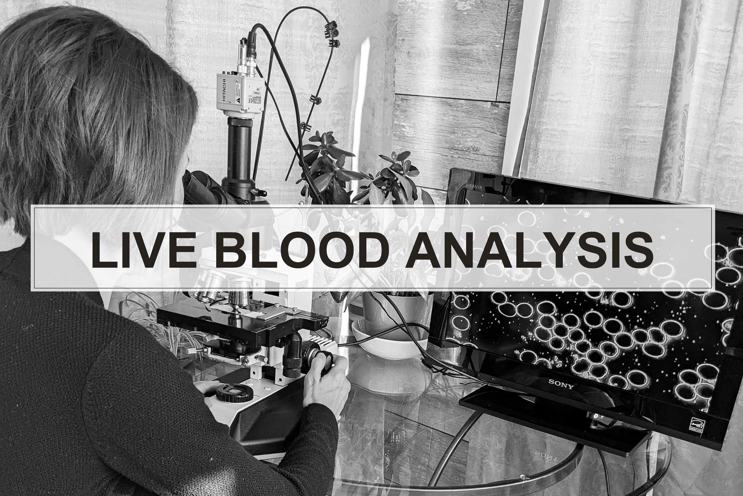 Live Blood Analysis