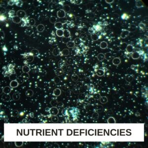 Nutrient Deficiencies LBA