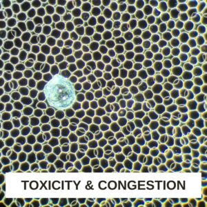 Toxicity and Congestion LBA