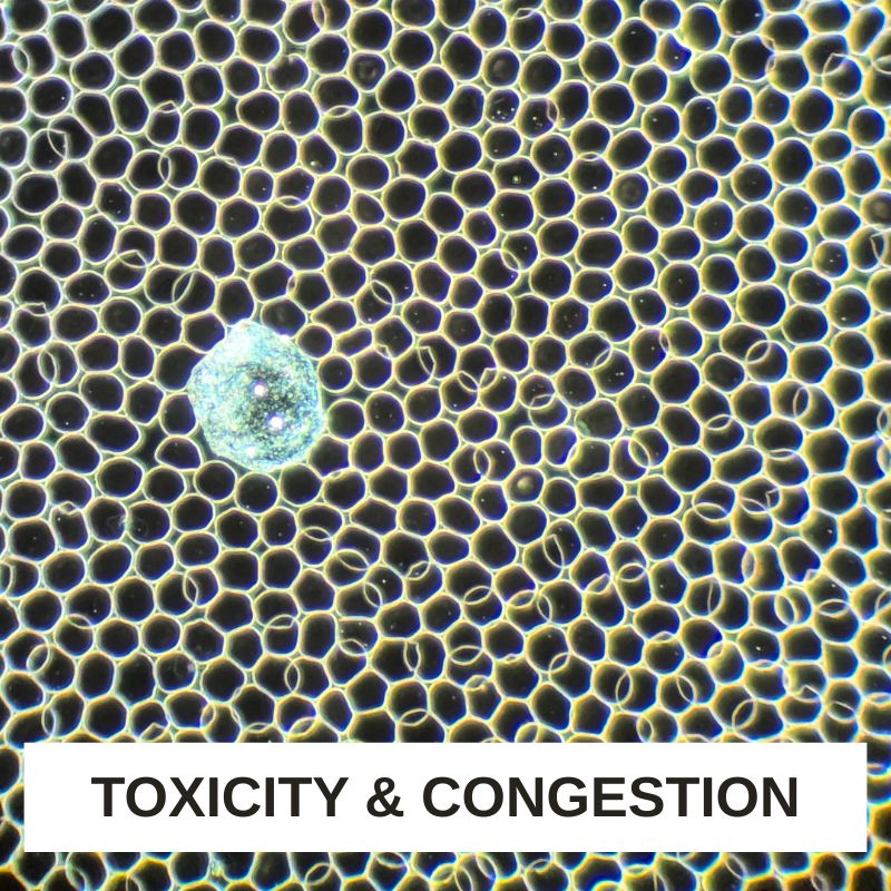Toxicity and Congestion LBA