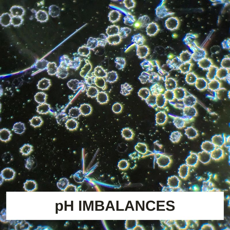 pH Imbalances LBA