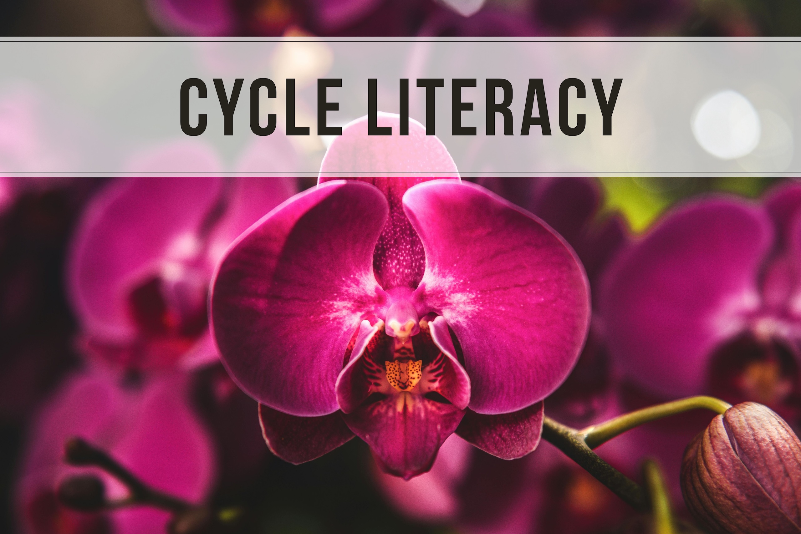 Cycle Literacy