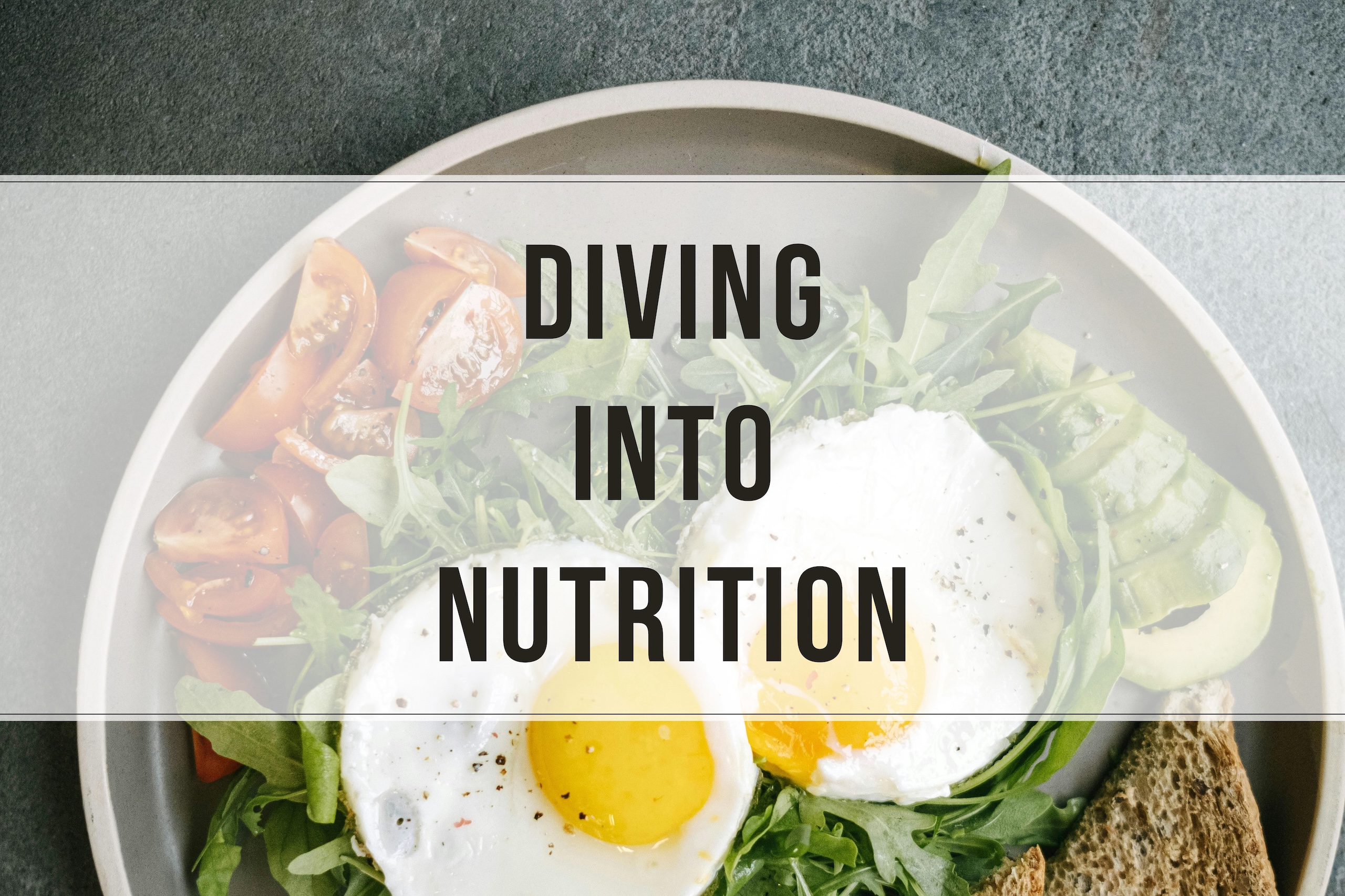 Diving Into Nutrition