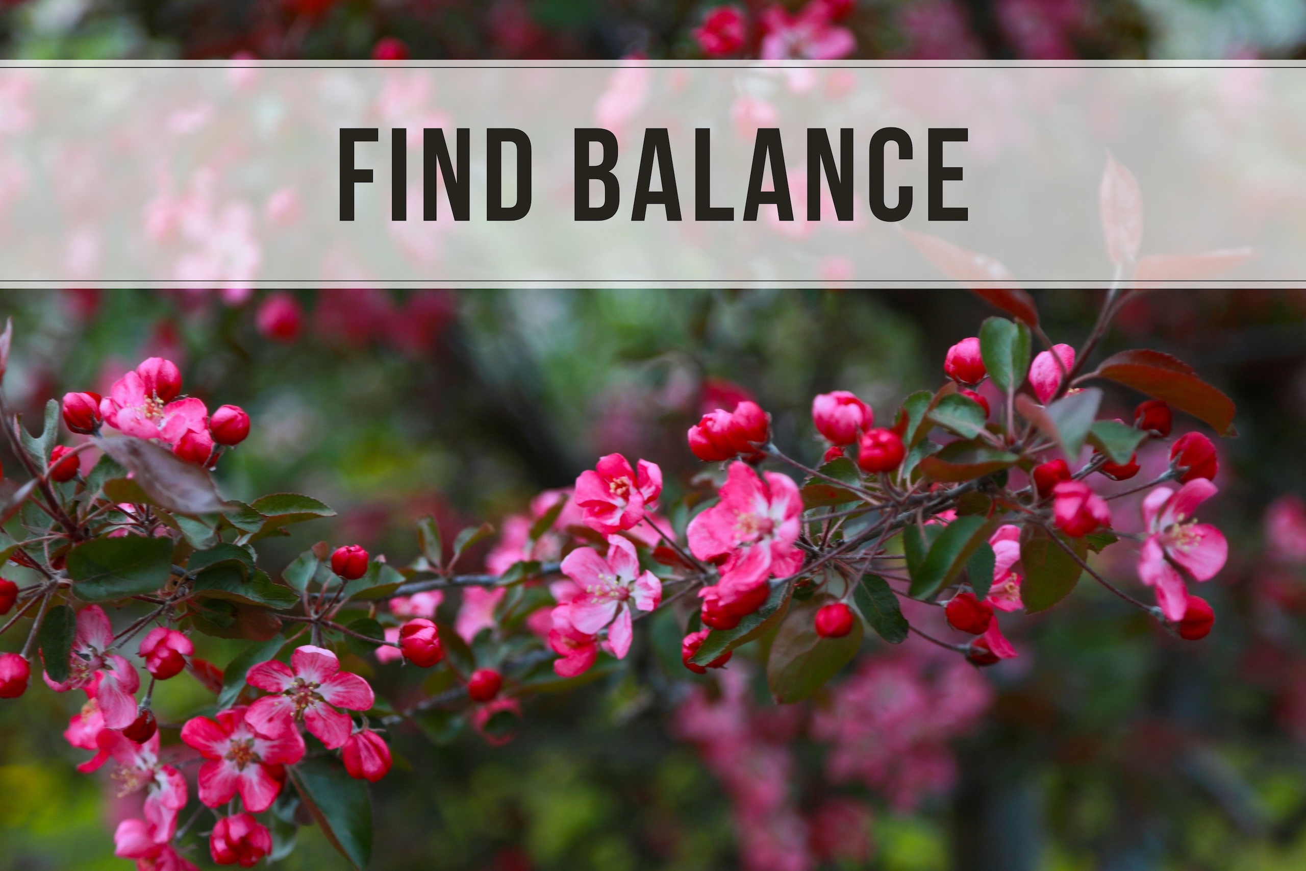 Find Balance