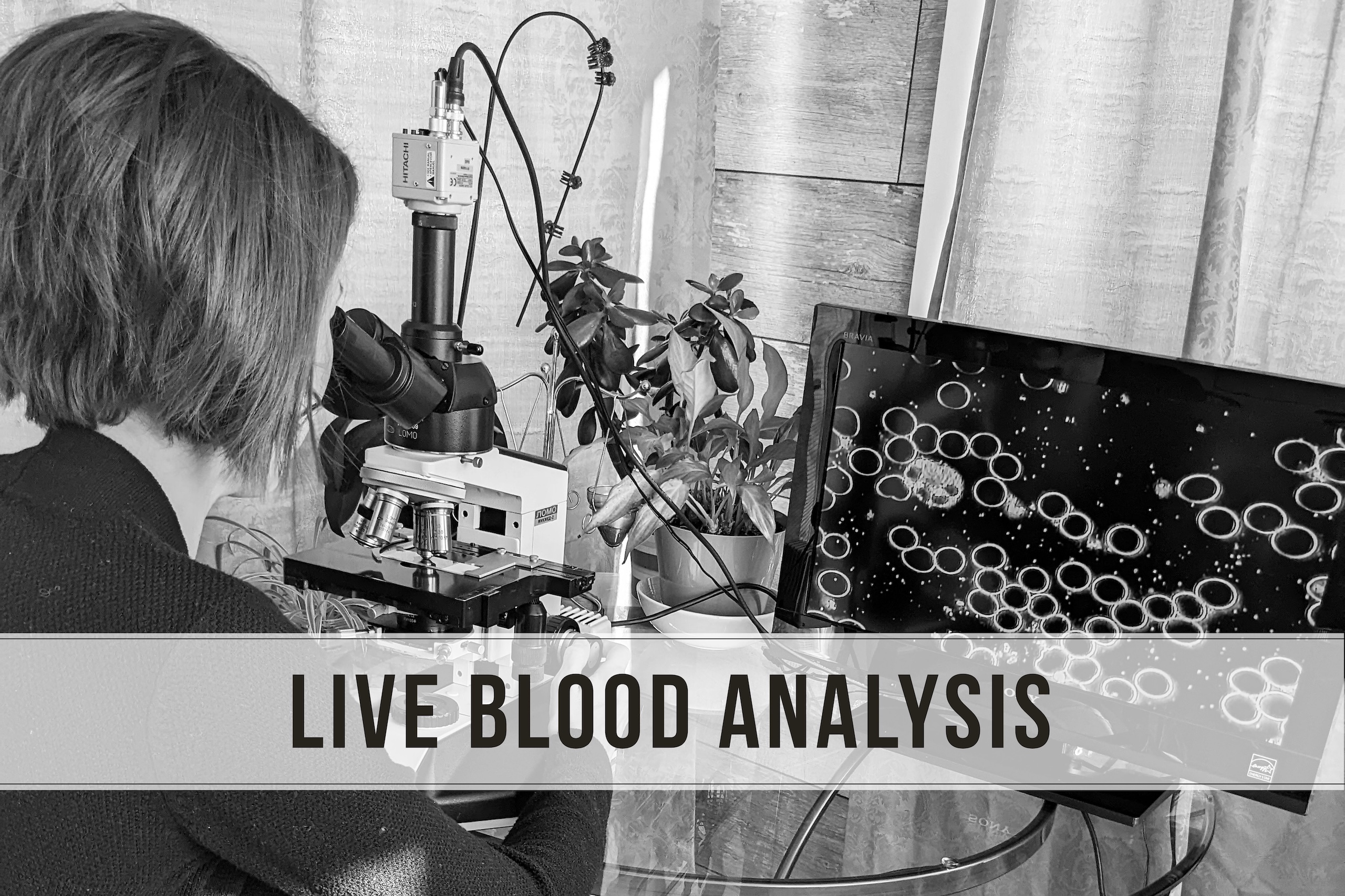 Live Blood Analysis