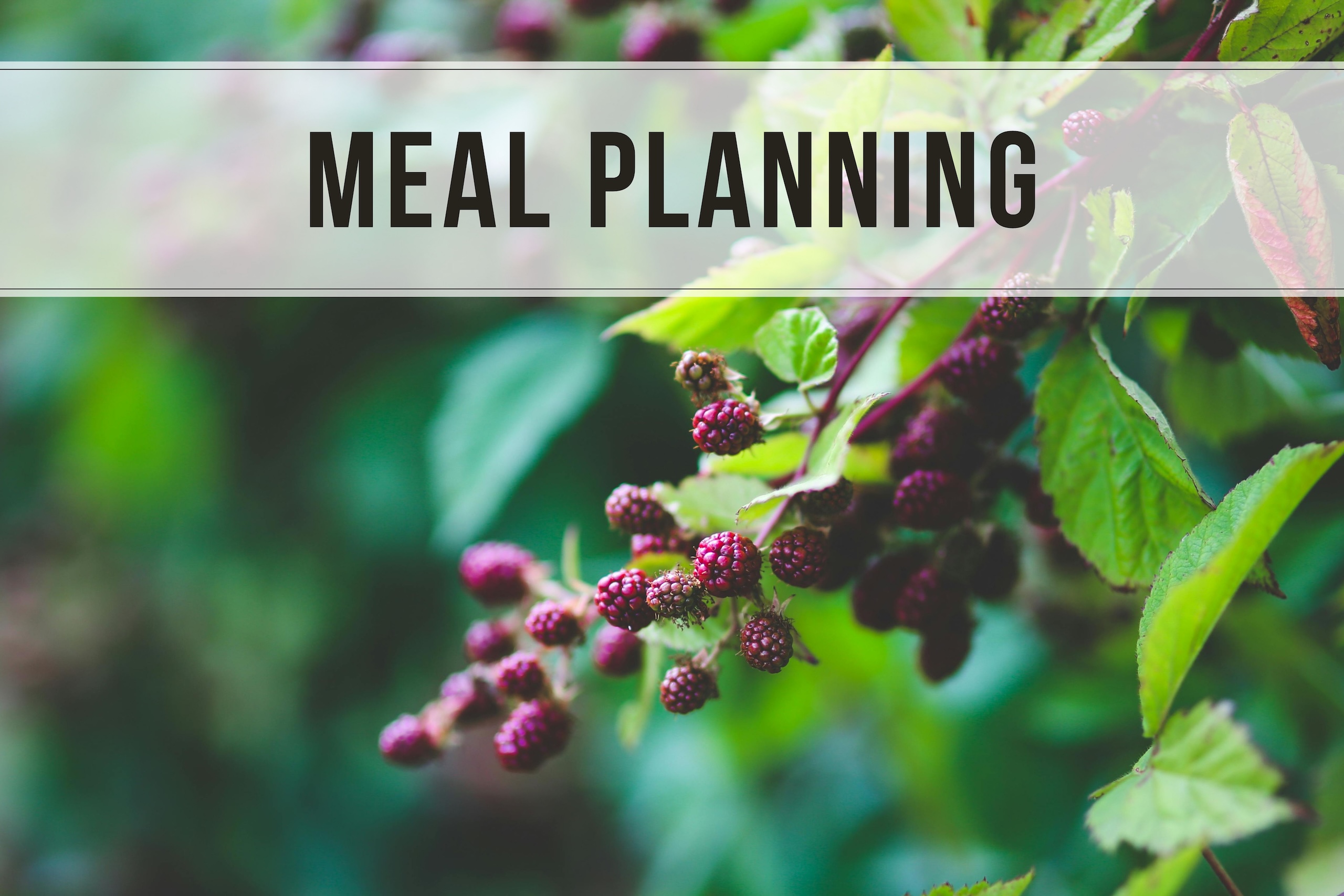 Meal Planning